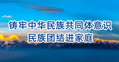 铸牢中华民族共同体意识 民族团结进家庭